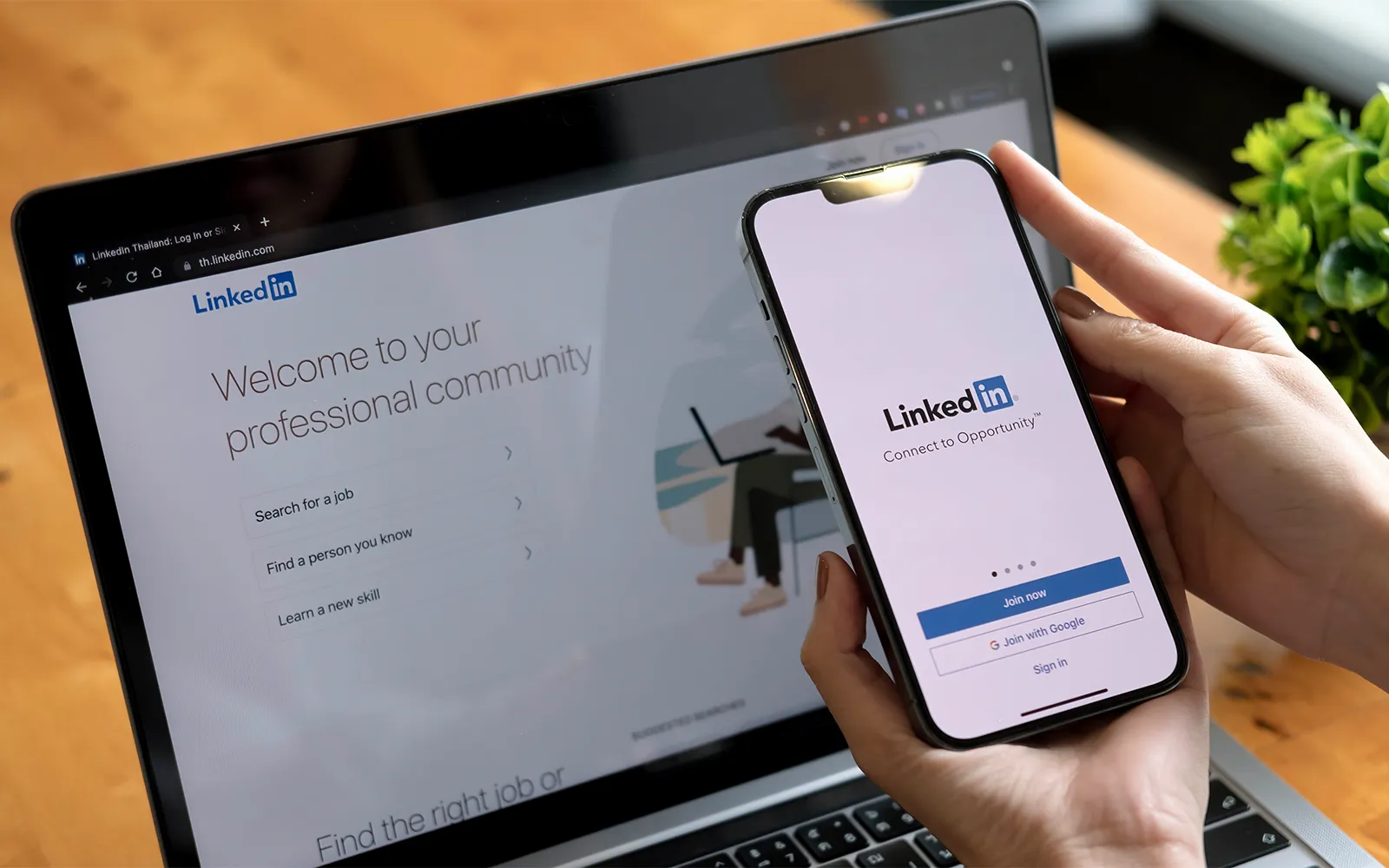 Recommended US Coinbase filtering tools: Supports batch detection of linked accounts